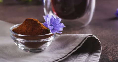 Chicory Extracts