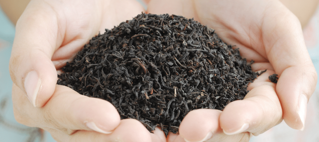 What Is Black Tea? Benefits, Types, and Uses