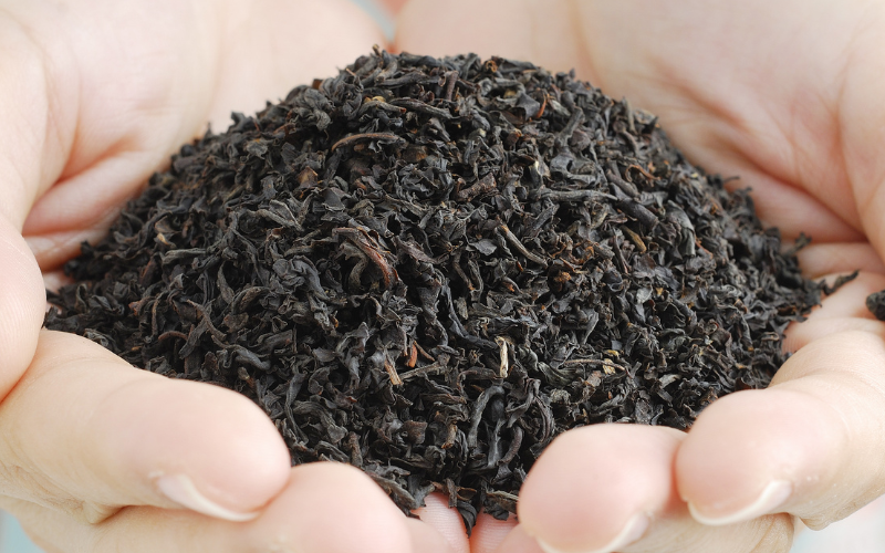 What Is Black Tea? Benefits, Types, and Uses