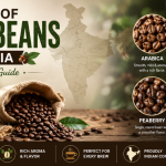 Types of Coffee Beans in India: A Complete Guide