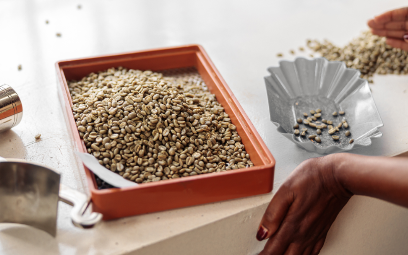Green Coffee Beans Benefits: Uses and Nutritional Value