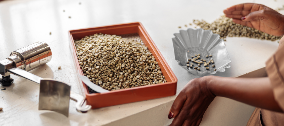 Green Coffee Beans Benefits: Uses and Nutritional Value