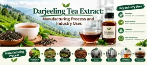 Darjeeling Tea Extract