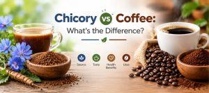 Chicory vs Coffee Differences